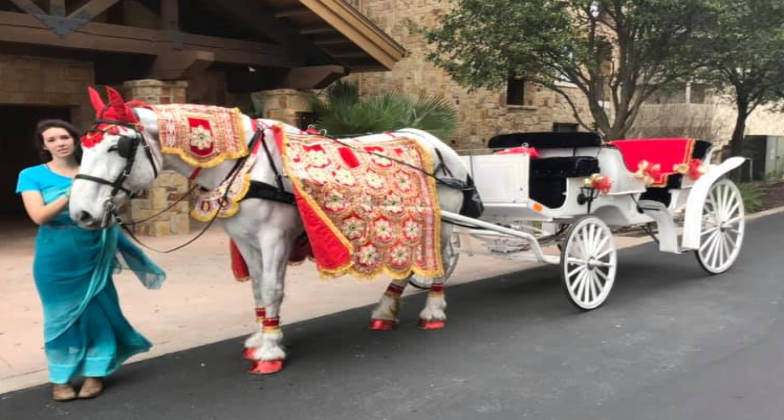 Indian Baraat_Fantasia Carriage_horse