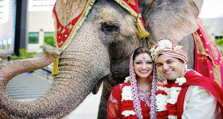 Indian Wedding Venue_Incredible Events - Elephant Baraat_Elephant and couples